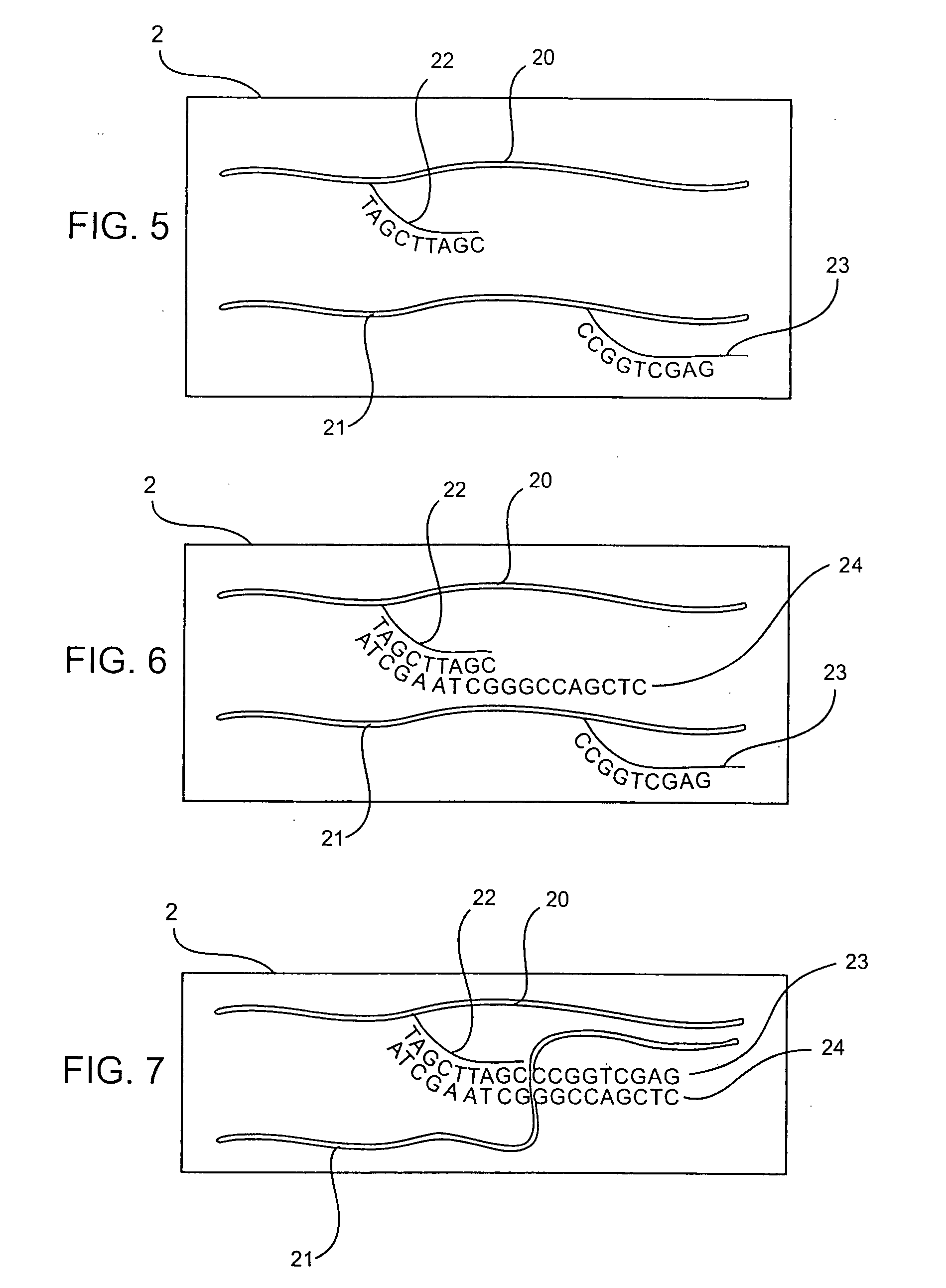 Phase change sensor