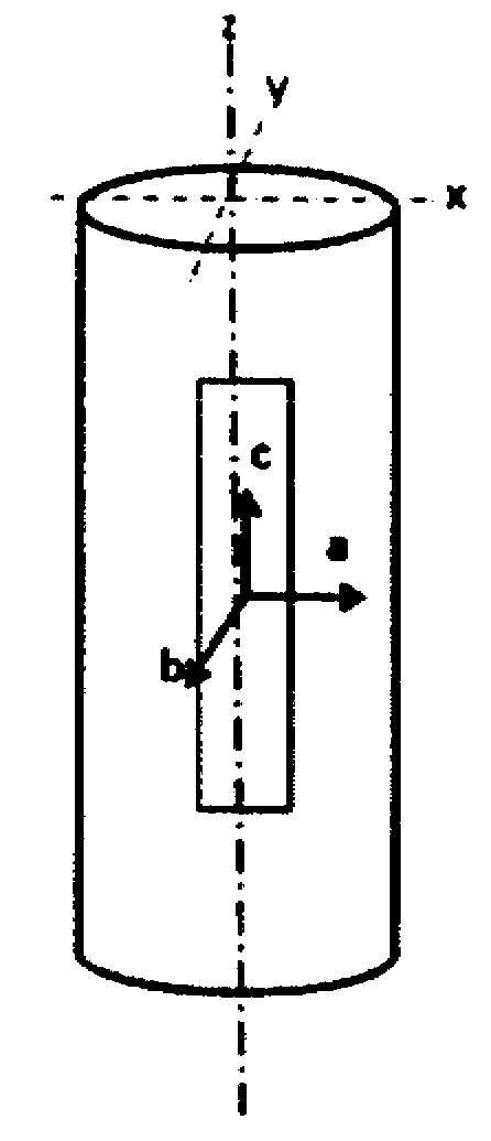 Method for producing a monocrystalline body from a magnetic shape memory alloy