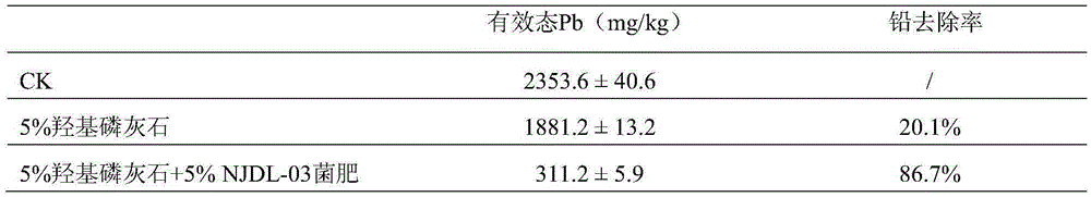 Oxalic acid penicillium strain NJDL-03 and application thereof
