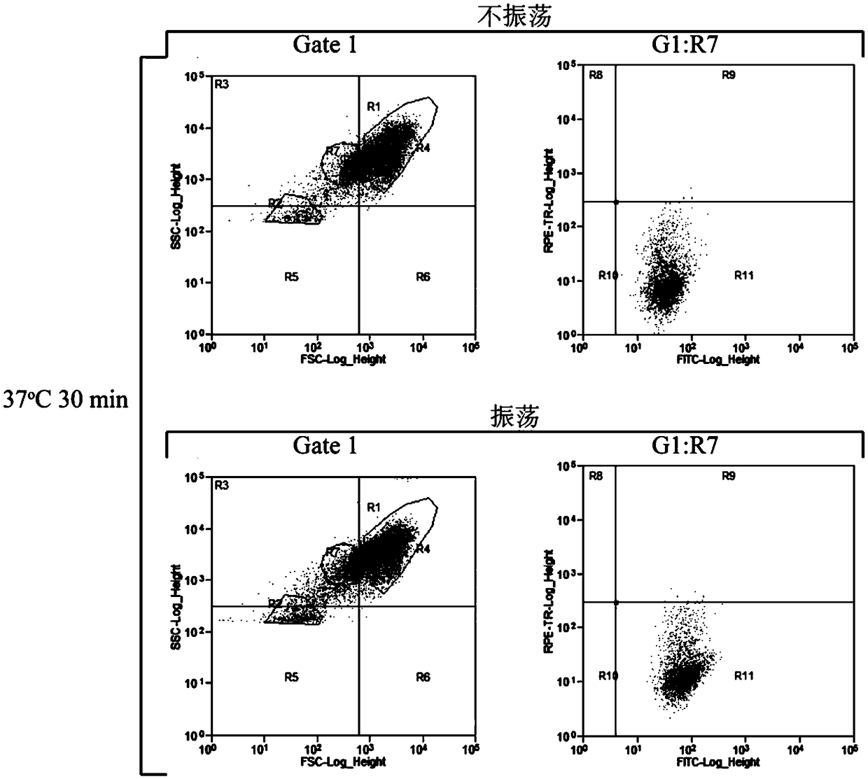 Method for separating saccharomyces cerevisiae haploids in ultrahigh-throughput manner on basis of flow cytometry