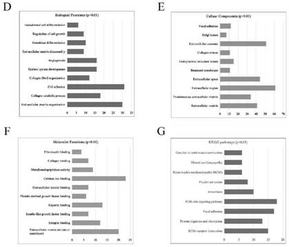 Biomarker genes for detecting colorectal cancer metastasis, application, kit and pharmaceutical composition