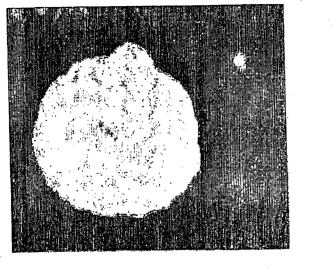 Electrode active material for secondary battery