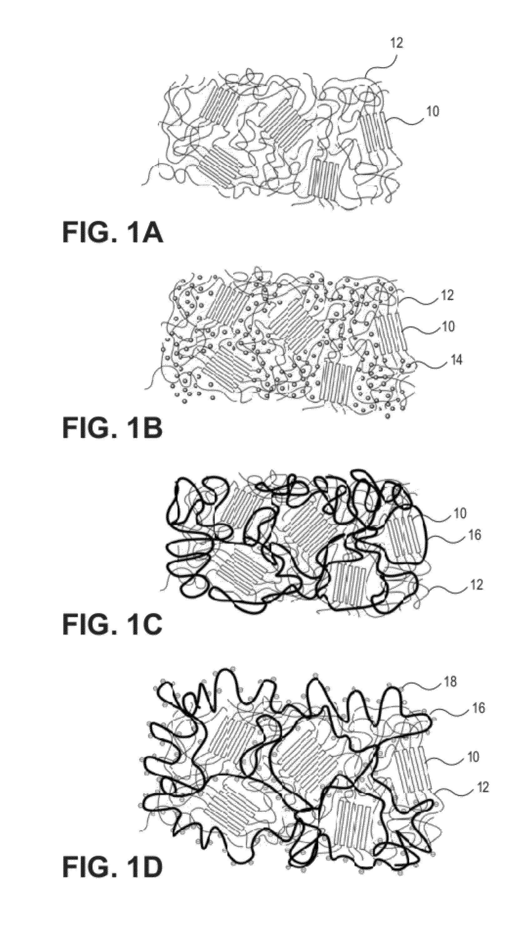 Hydrophobic and Hydrophilic Interpenetrating Polymer Networks Derived from Hydrophobic Polymers and Methods of Preparing the Same