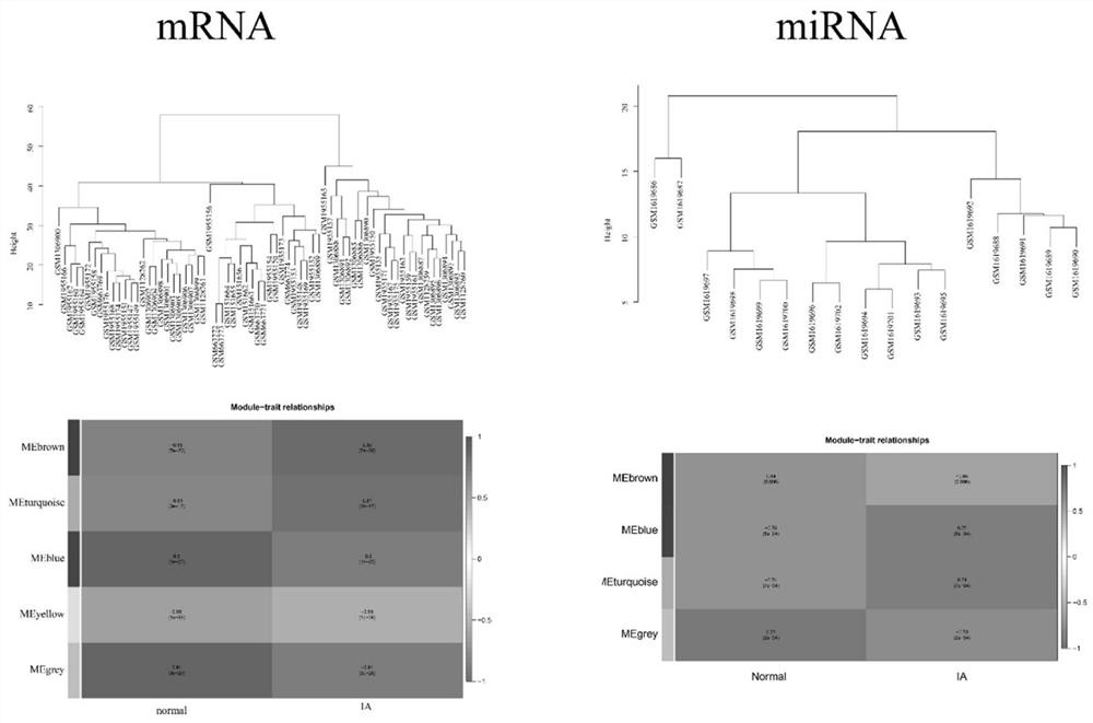 CeRNA regulation and control network for early diagnosis or detection of cerebral aneurysm and application of ceRNA regulation and control network