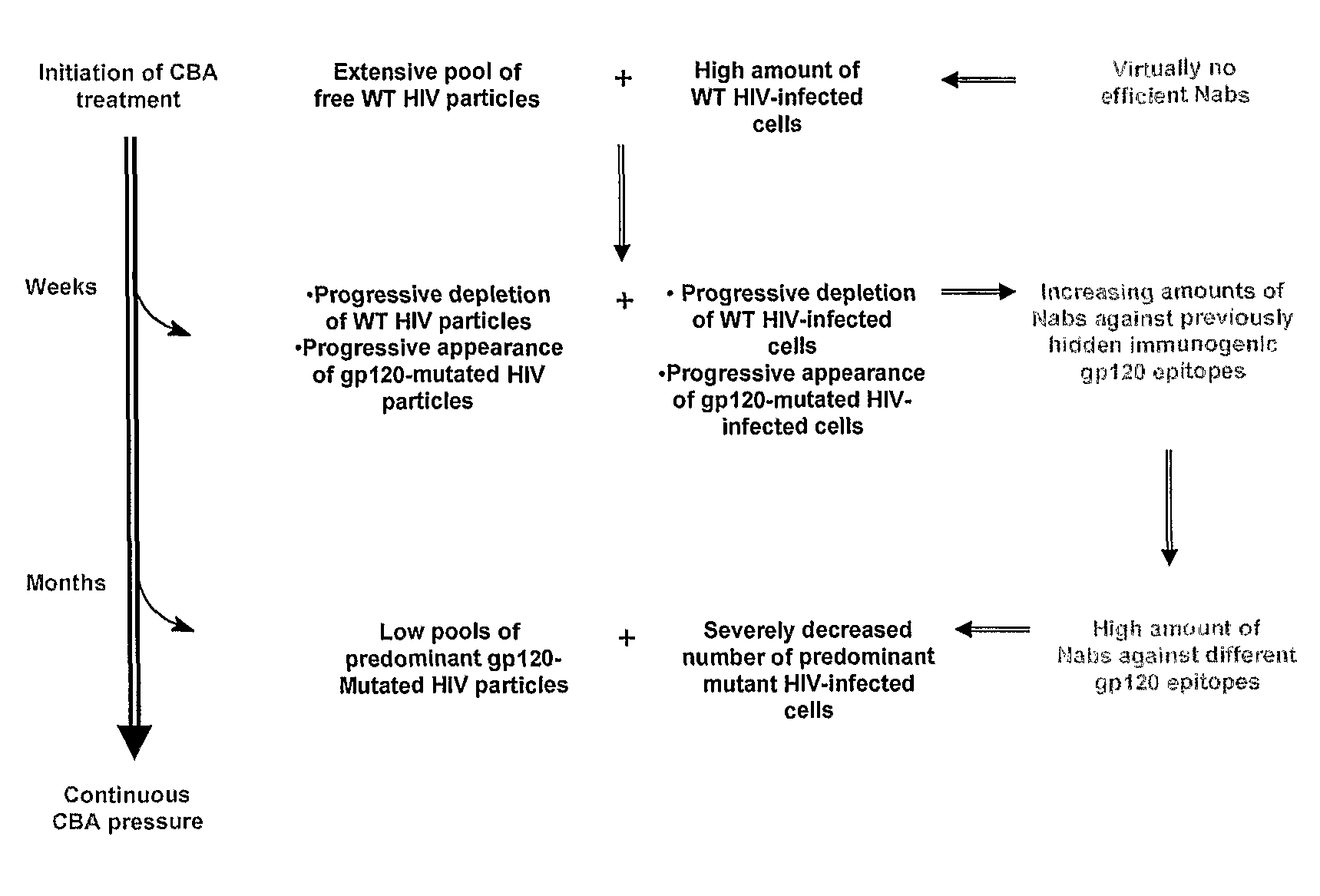 Novel Antiviral Therapies