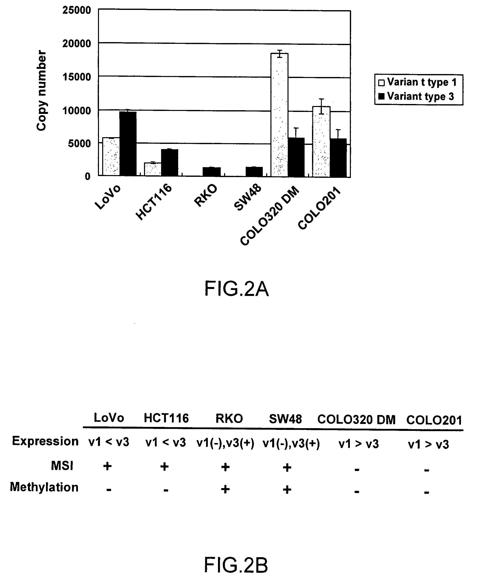 Method and kit for detection of microsatellite instability-positive cell