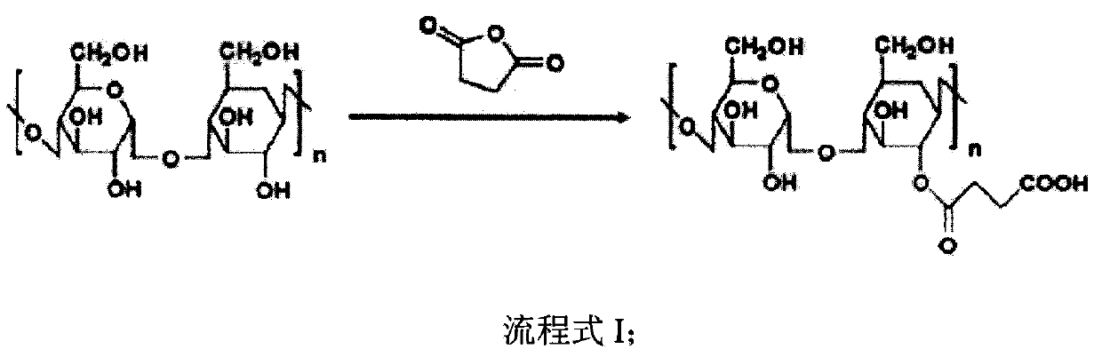 Accessory for coating medicinal compound and preparation method thereof