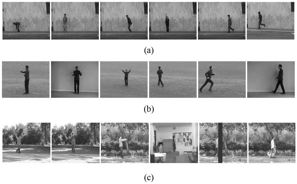 Human Action Recognition Method Based on Low-rank Representation