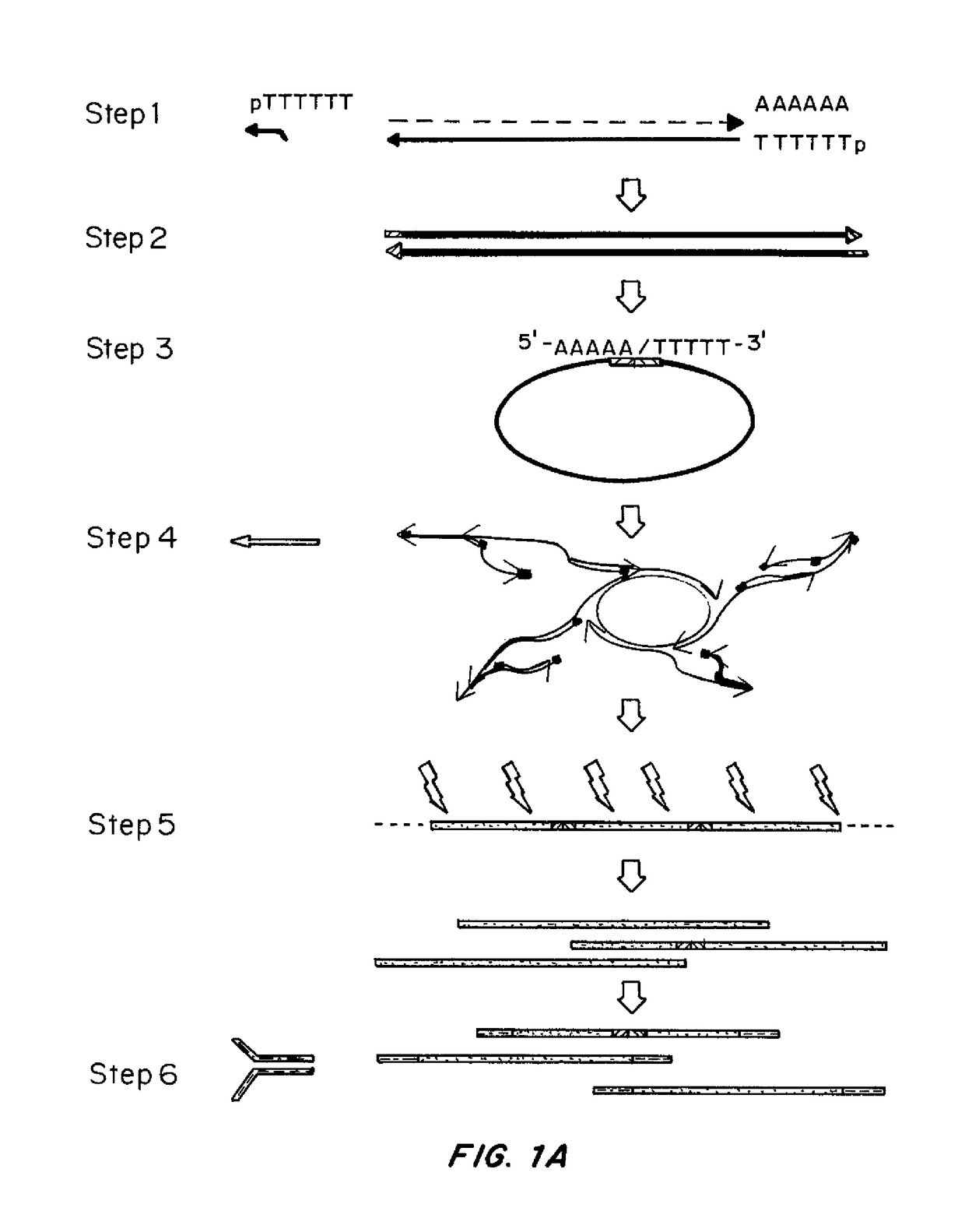Methods for preparing cDNA from low quantities of cells