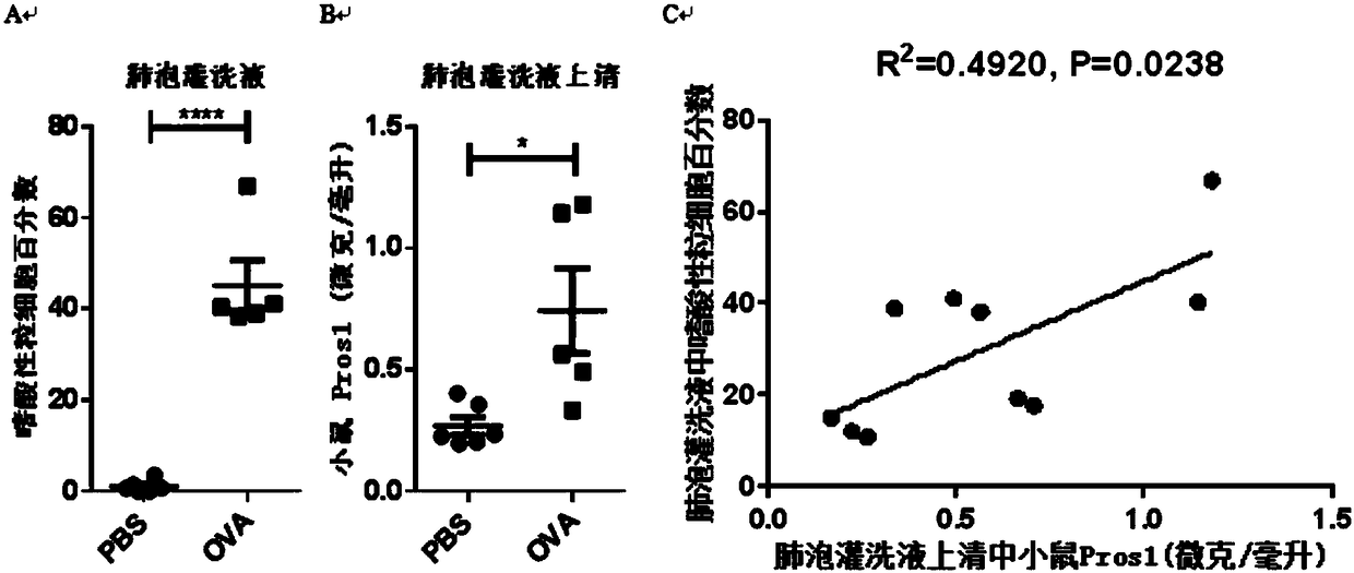 Application of protein S as biological marker in preparation of reagent for diagnosis of asthma and evaluation of prognosis effect