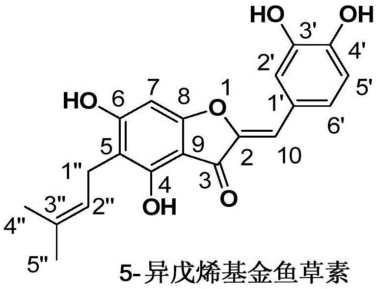 The method of extracting 5-isopentenyl herbalin from water chestnut skin