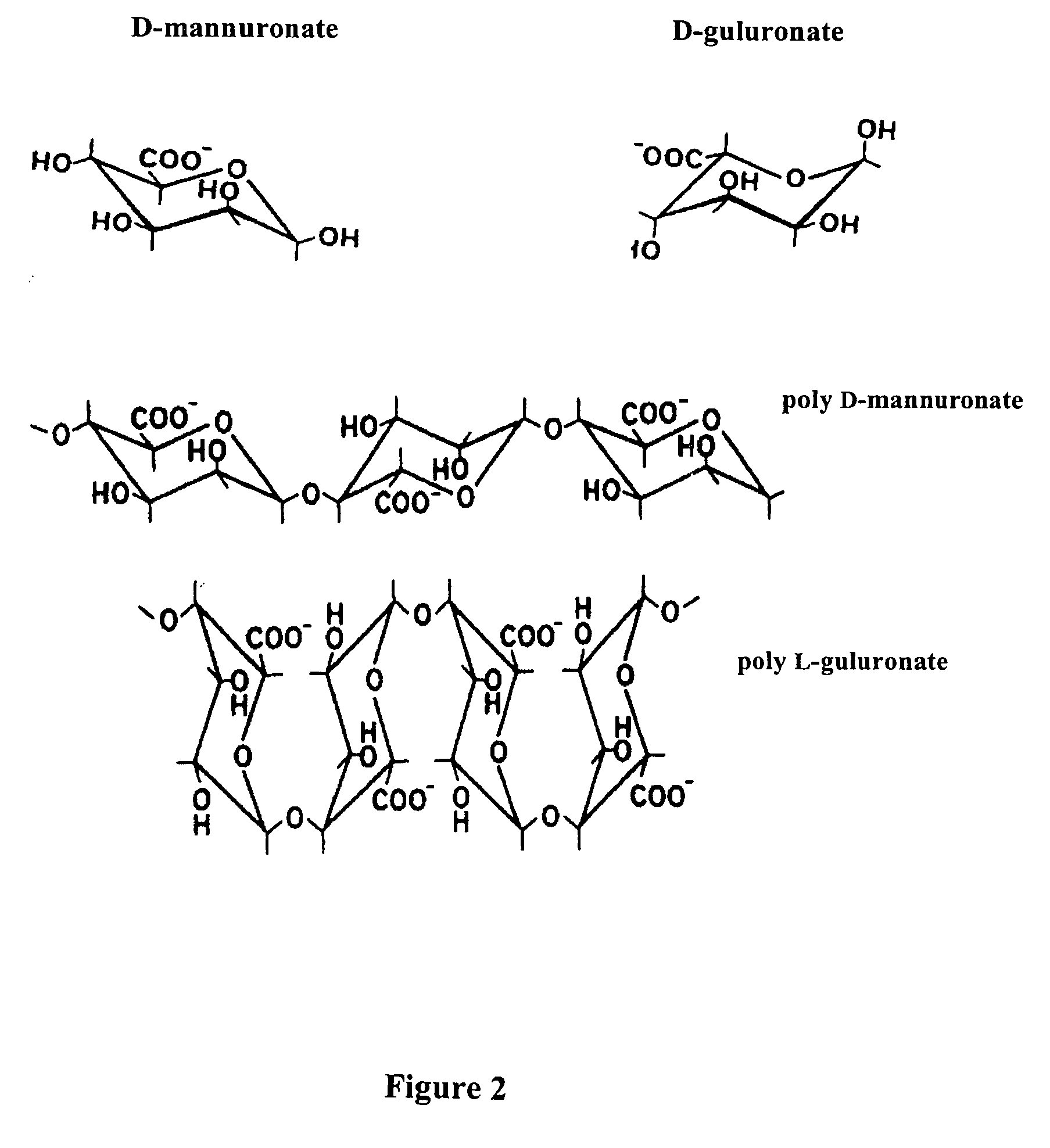 Alginases, systems containing alginases and methods of cloning, purifying and/or utilizing alginases