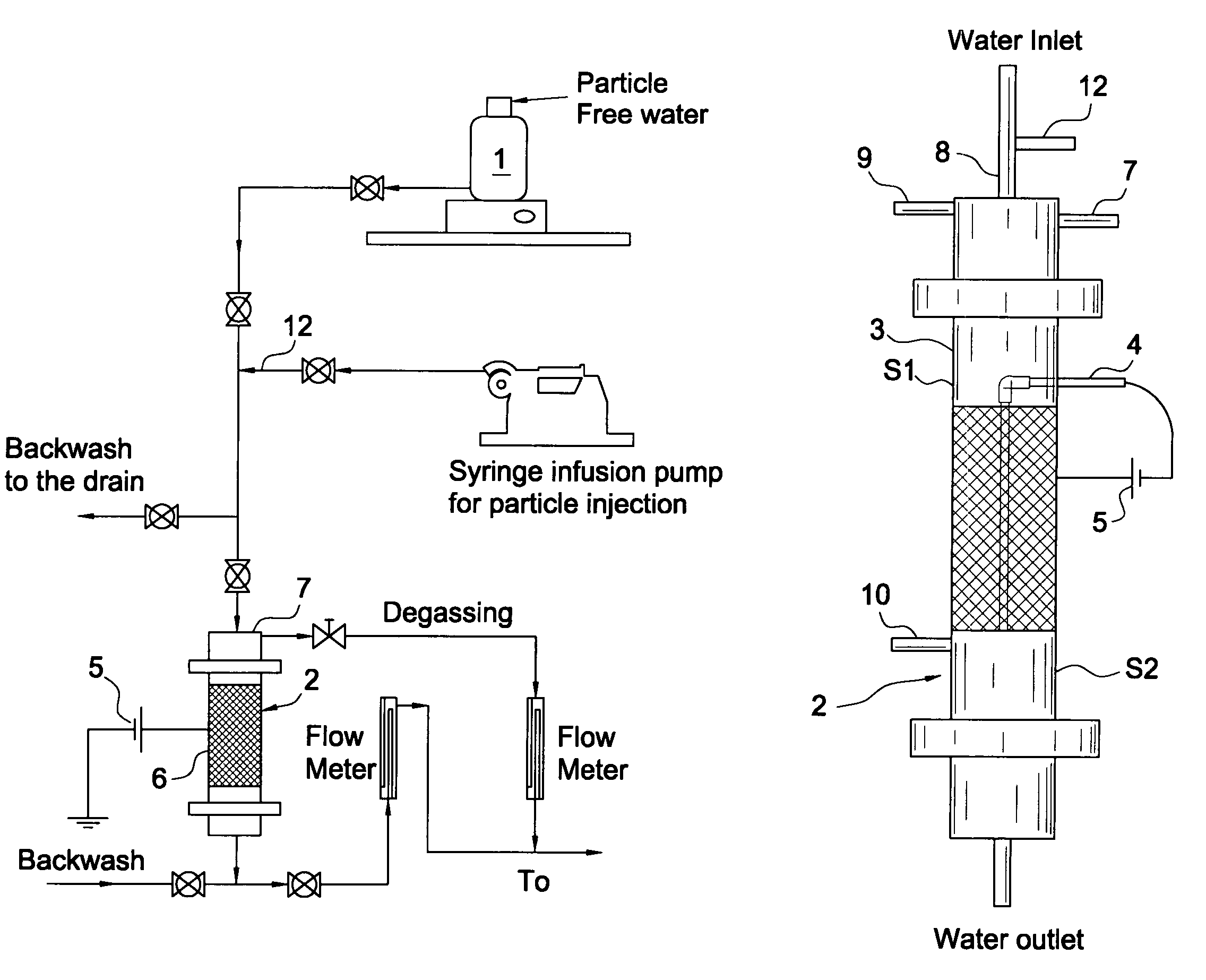 Process and apparatus for removal of biocolloids from water