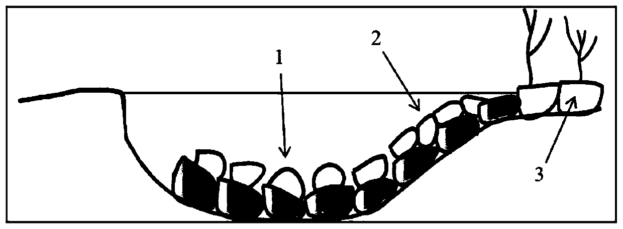 Protective structure and protective method for preventing erosion of concave bank of river course