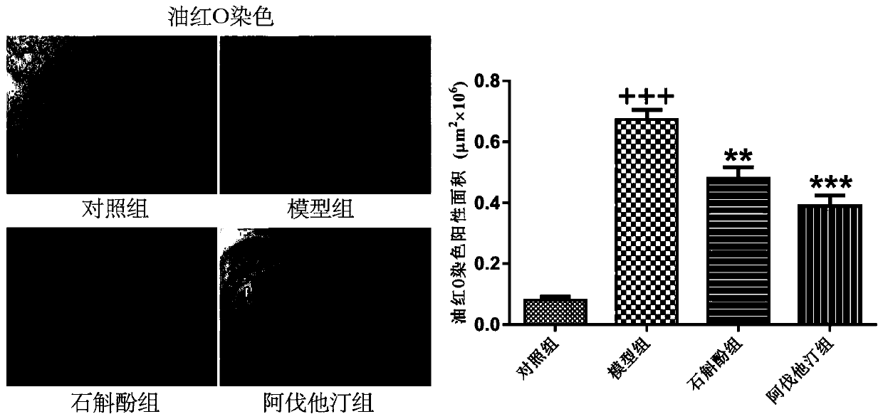 Application of Dendrobium in the Preparation of Medicines for Preventing and Treating Atherosclerosis