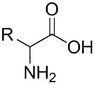 Method for producing n-acetyl dipeptide and n-acetyl amino acid