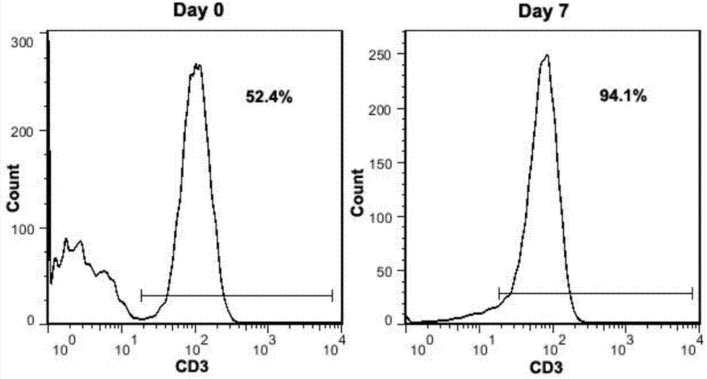 CD19 targeted CAR (chimeric antigen receptor)-T cell, preparation method and application