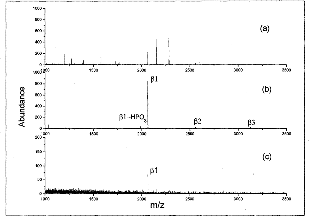 Preparation of organic phosphonic acid functionalized magnetic nano material and application in protein enrichment