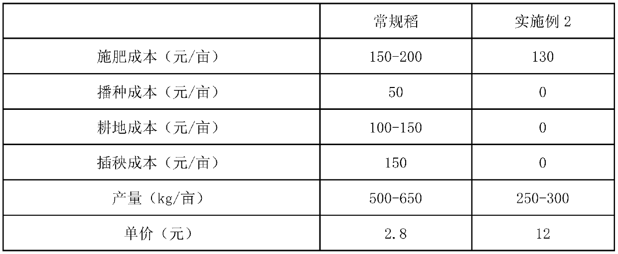 Method for planting edible weedy rice