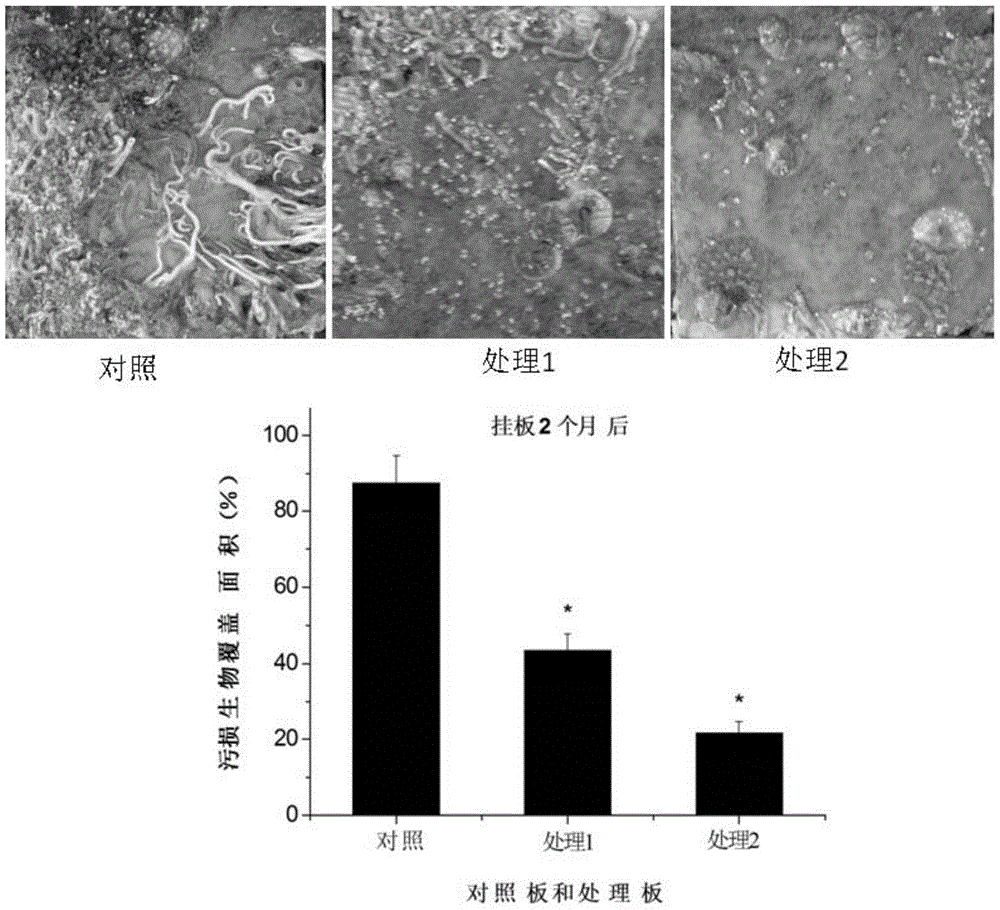 Application of a class of butenolide compounds in the preparation of anti-marine biofouling coatings