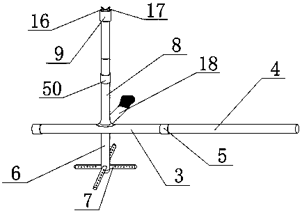 Irrigation device for grape growing