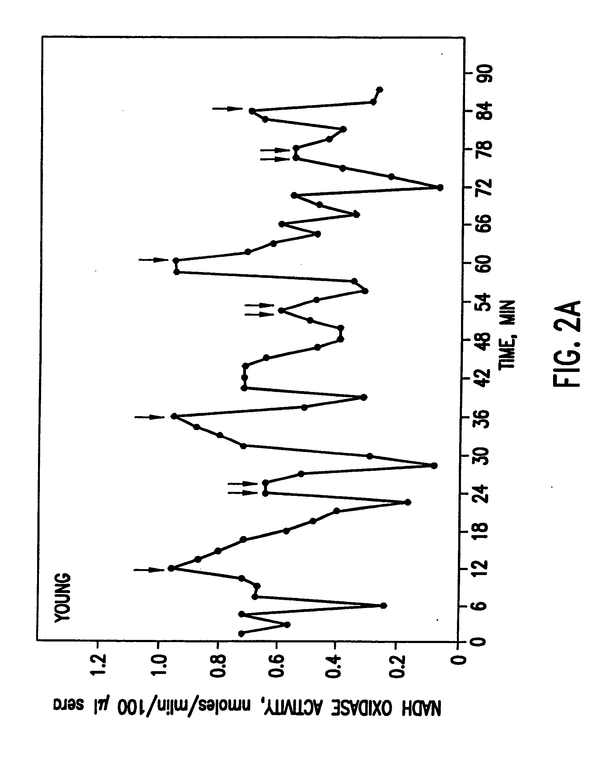 Methods for identifying agents that inhibit serum aging factors and uses and compositions thereof