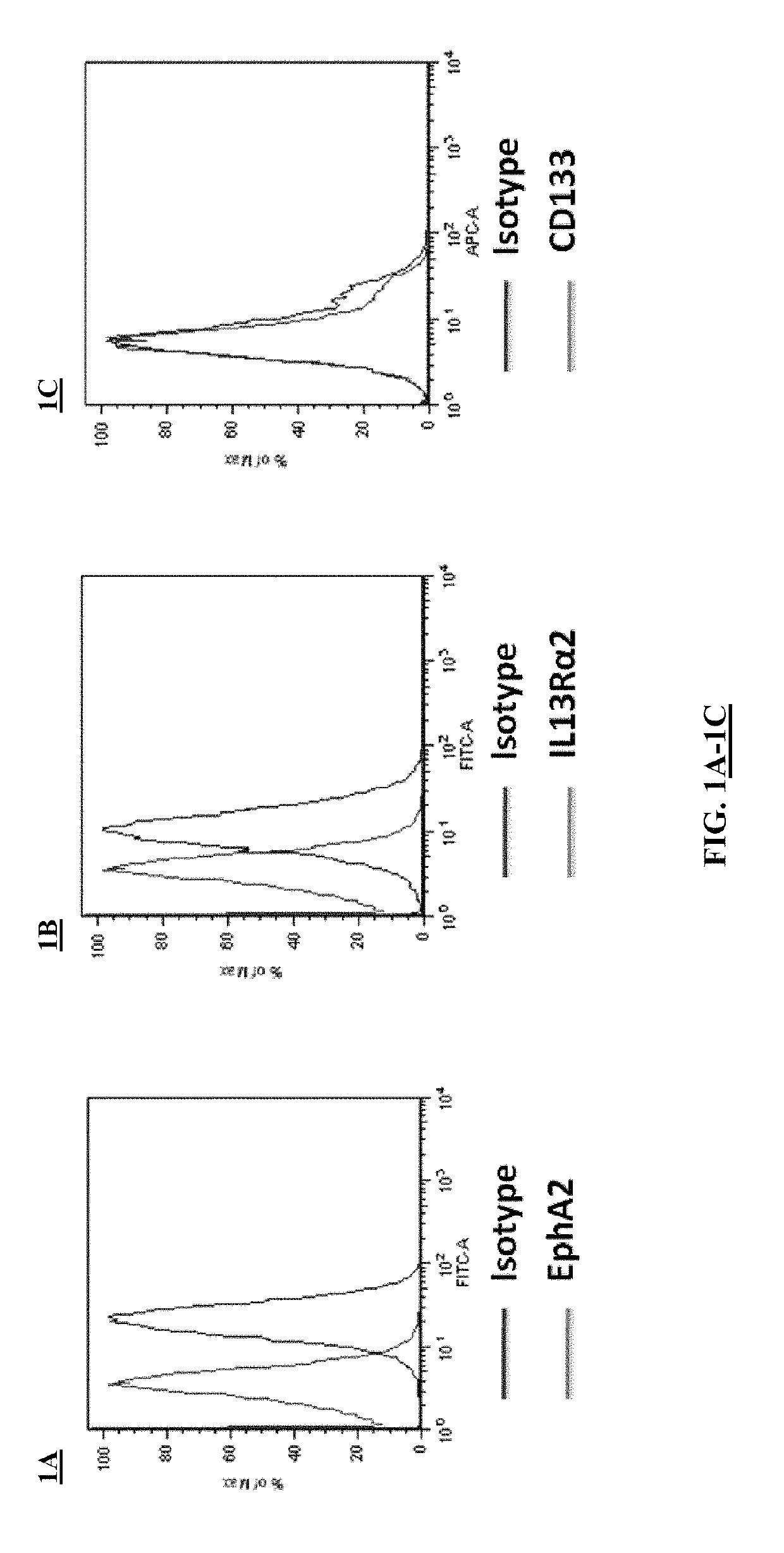 Cancer stem cell targeted cancer vaccines