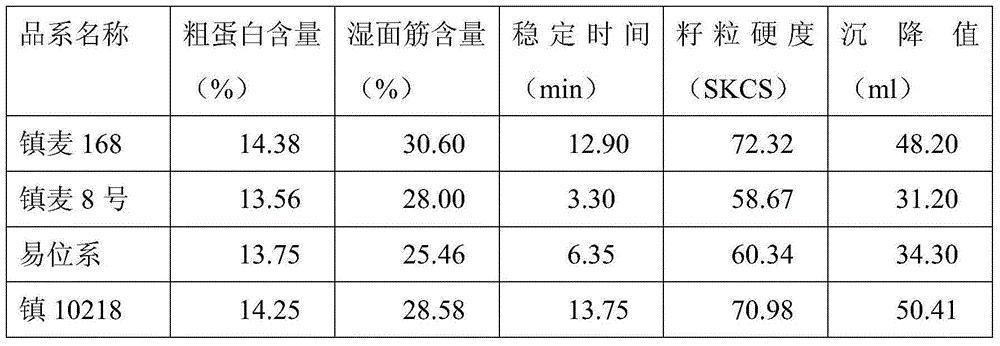 Creation method for dasypyrum villosum-based high-quality powdery mildew-resistant breeding element