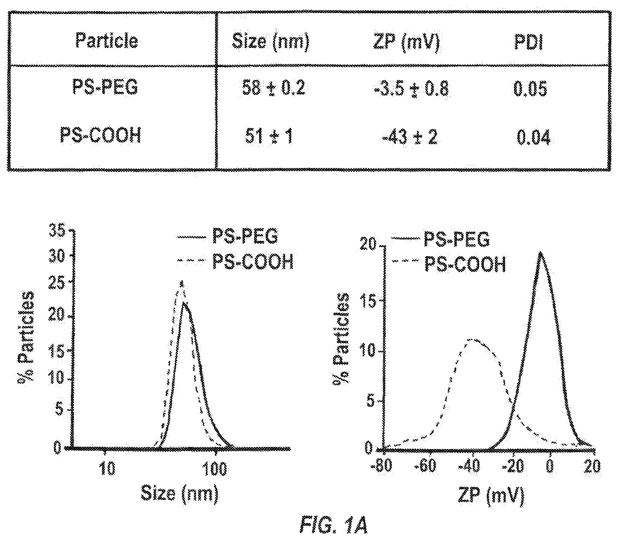 Compositions and methods to improve nanoparticle distribution within the brain interstitium