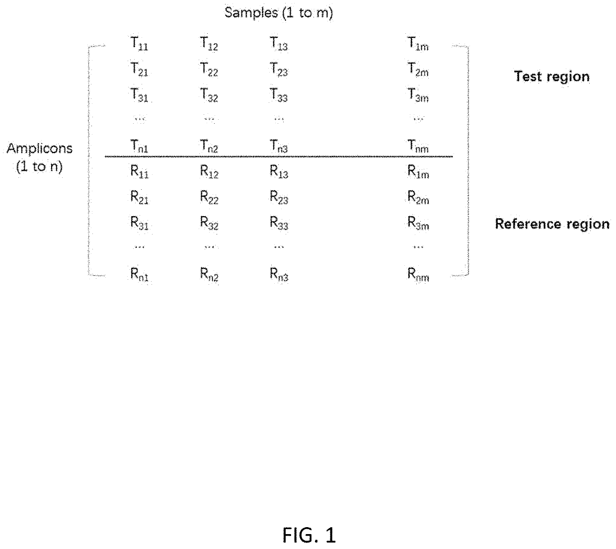 Method of correcting amplification bias in amplicon sequencing
