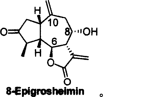 Anti-ameba protozoon disease compounds of 8-Epigroshiemin and synthesis thereof