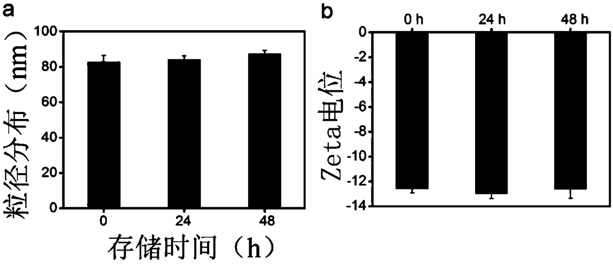 Synthesis method of EPS-RB nanometer particles for photodynamic bacterium resistance