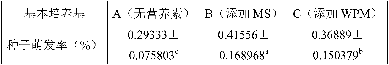 Method for obtaining seedlings of Actinidia kolomikta