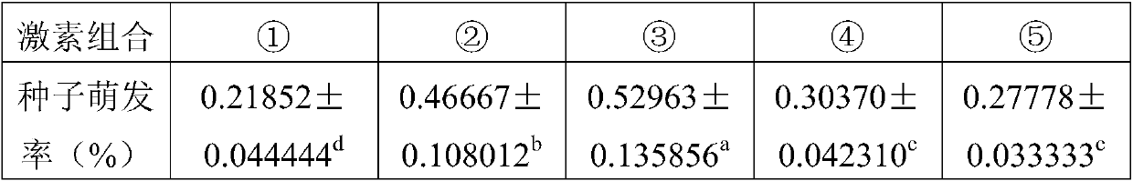 Method for obtaining seedlings of Actinidia kolomikta