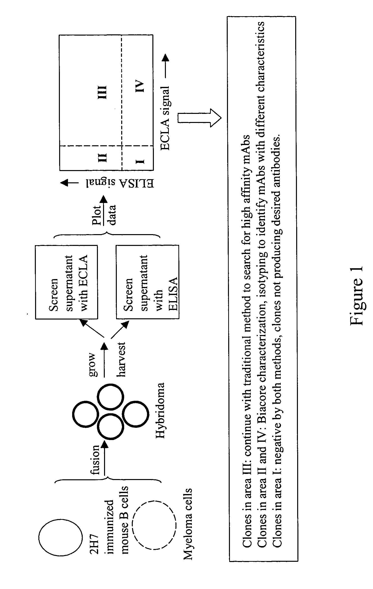 Cross-screening system and methods for detecting a molecule having binding affinity for a target molecule