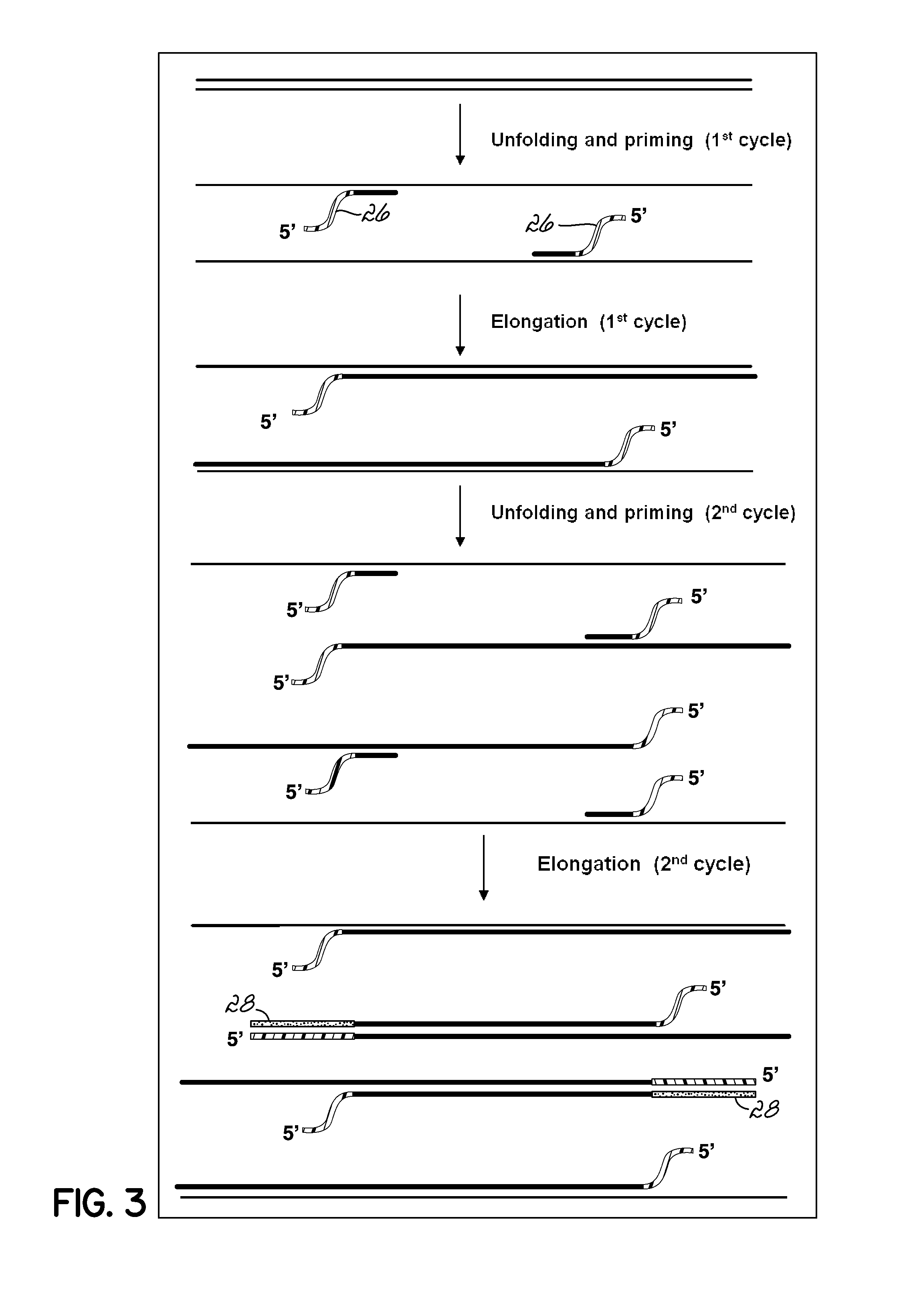 Isothermal Amplification of Nucleic Acid