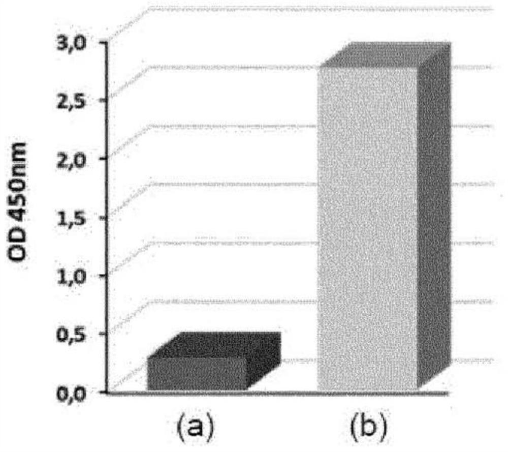 CAR-T cells targeting IL-1RAP and their use in acute myelogenous leukemia (AML)