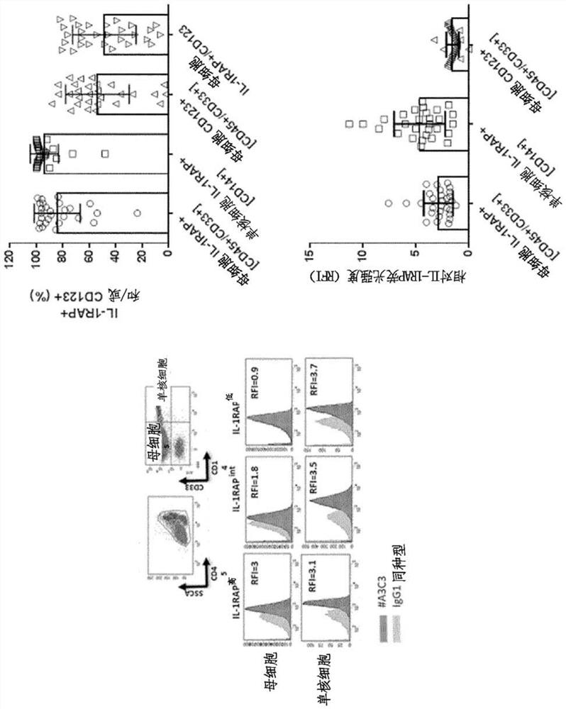 CAR-T cells targeting IL-1RAP and their use in acute myelogenous leukemia (AML)