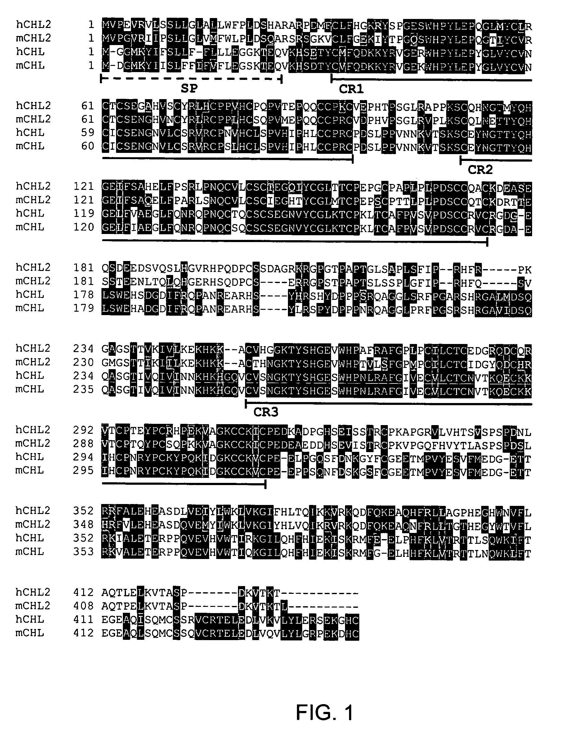 Chordin-like homologs