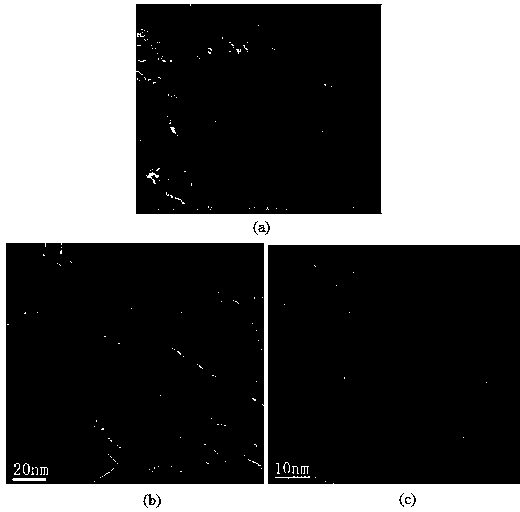 Multi-edge MoS2 nano piece/graphene electrochemical magnesium storage composite electrode and preparation method thereof