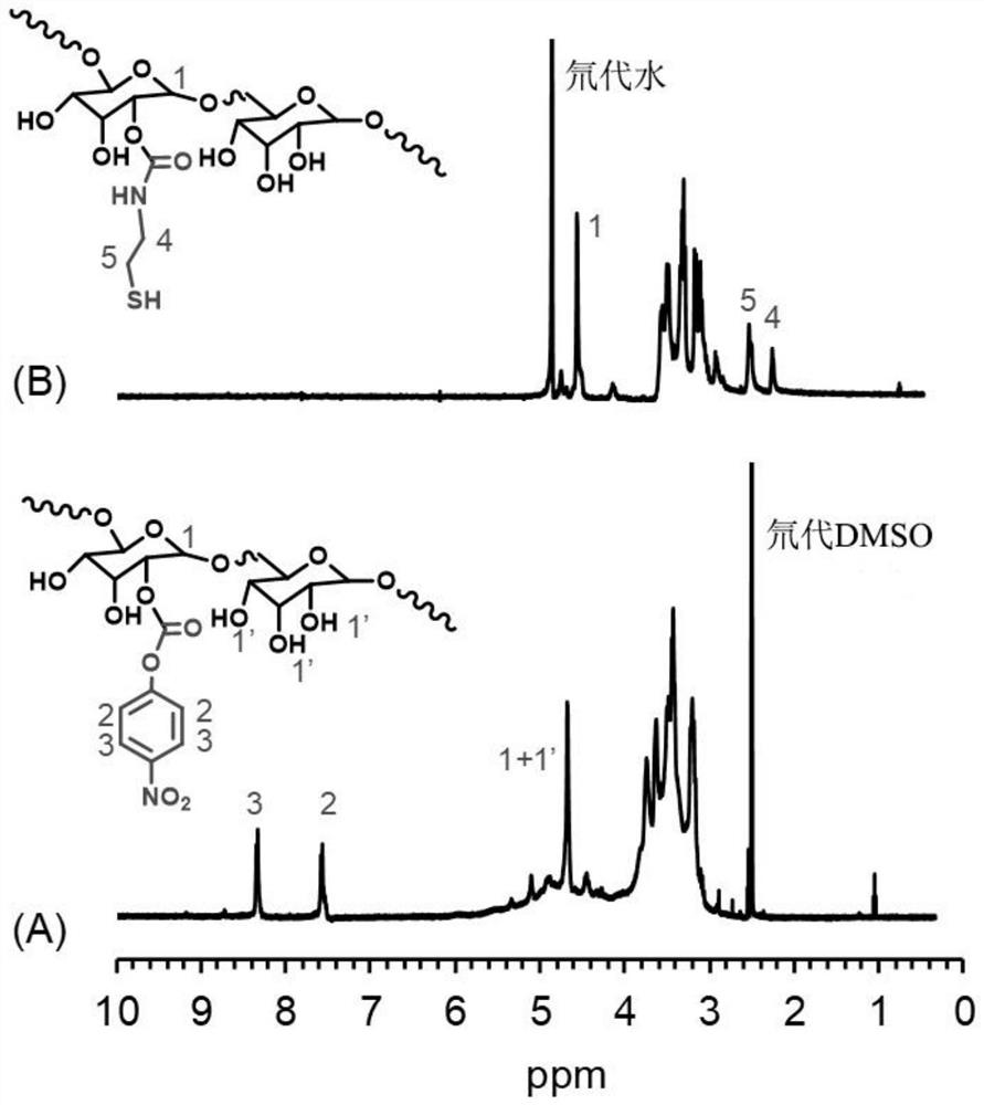 Disulfiram-based glucan nanometer prodrug, and preparation method and application thereof