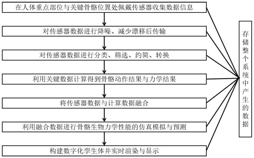 Digital twinborn body construction method of human skeleton