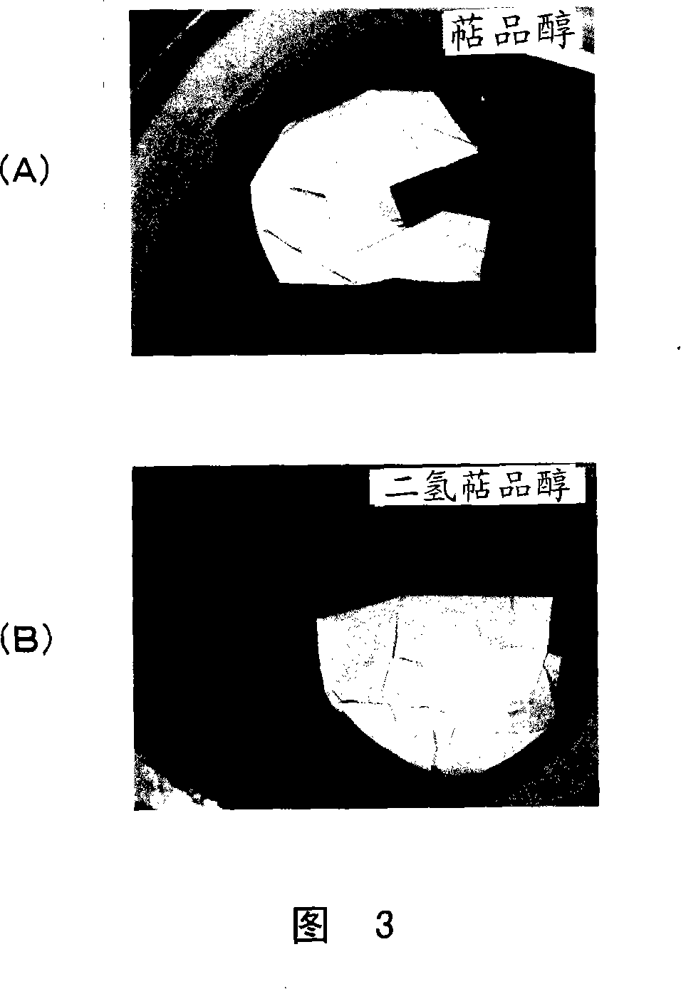 Conductive paste, lamination ceramics electronic assembly and method for manufacturing the electronic assembly