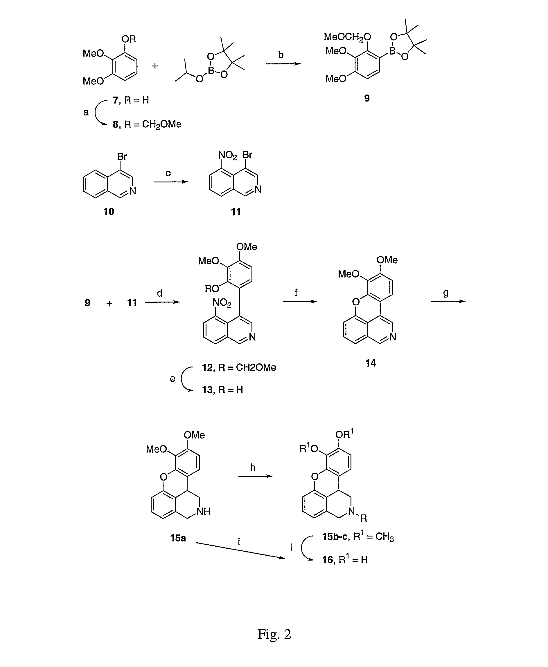 Co-administration of dopamine-receptor binding compounds