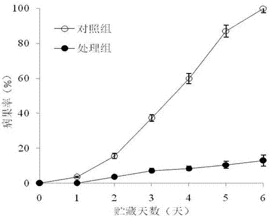 Treatment method for inhibiting disease and peel browning of litchi fruit