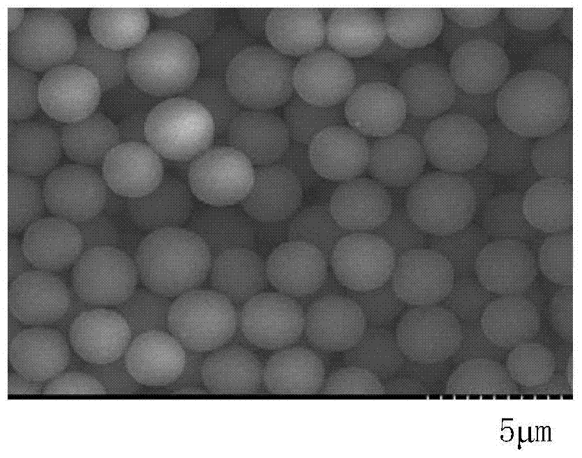 Synthesis and surface modification of polyglycidyl methacrylate microspheres