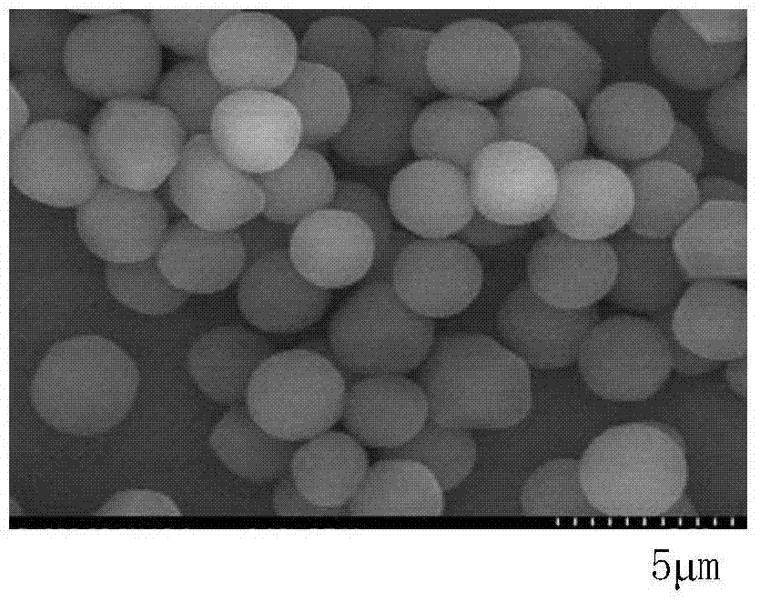 Synthesis and surface modification of polyglycidyl methacrylate microspheres