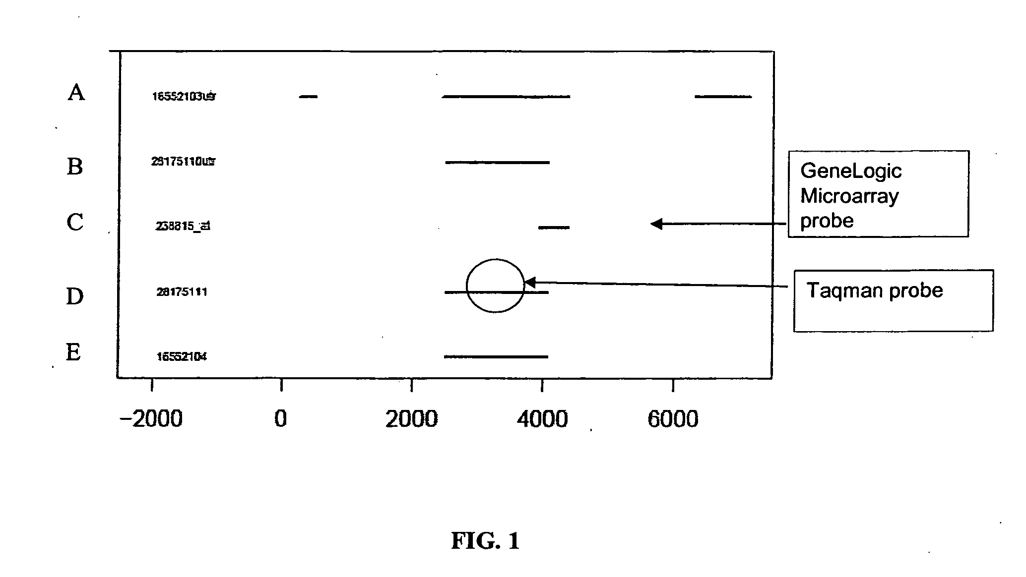 LRRTM1 Compositions and Methods of Their Use for the Diagnosis and Treatment of Cancer