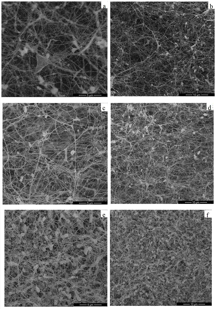 Preparation method of graphene/bacterial cellulose composite material