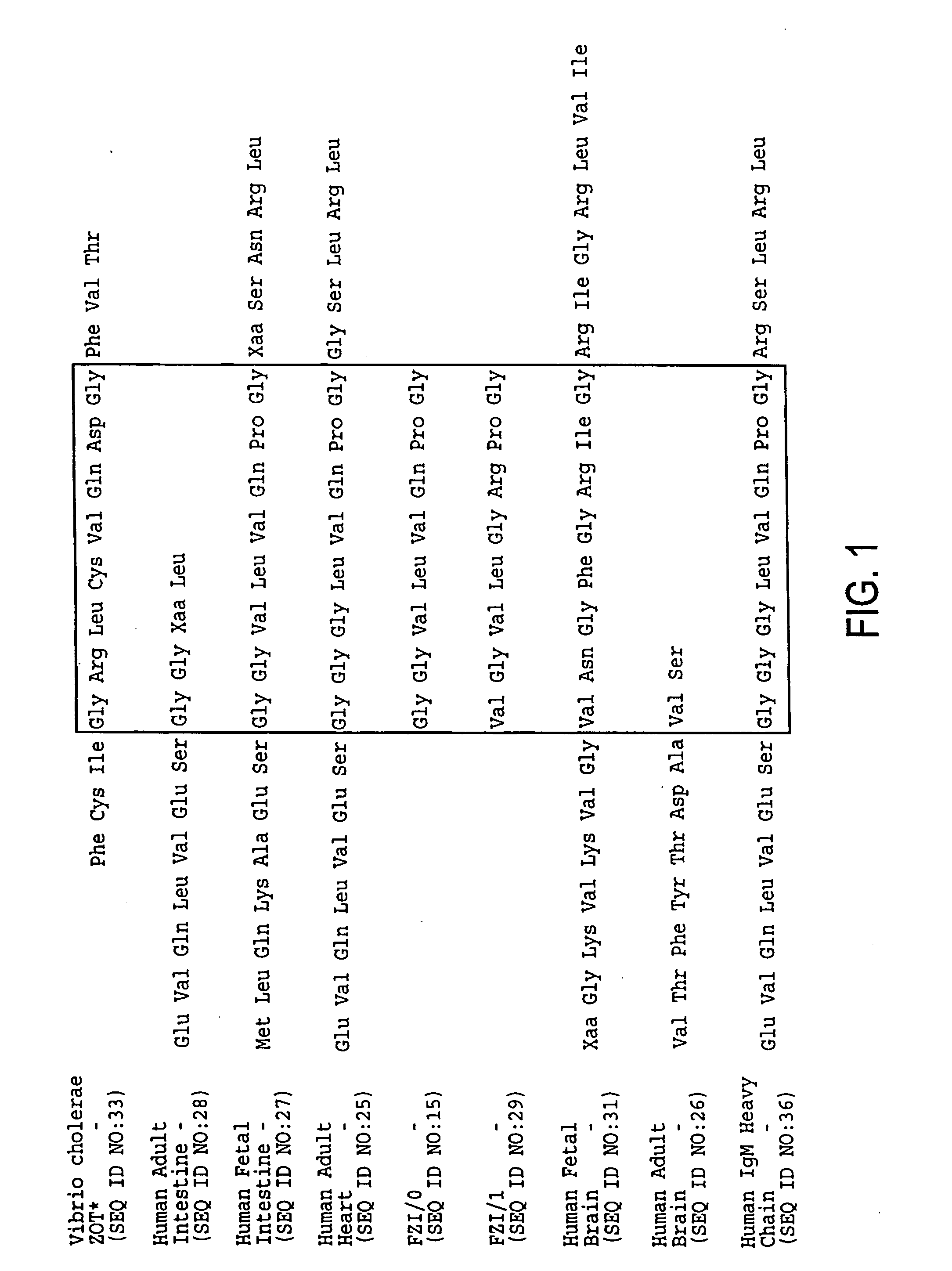 Method of use of peptide antagonists of zonulin to prevent or delay the onset of diabetes